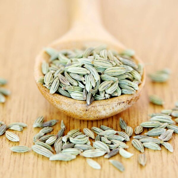 Fennel Seeds 50g